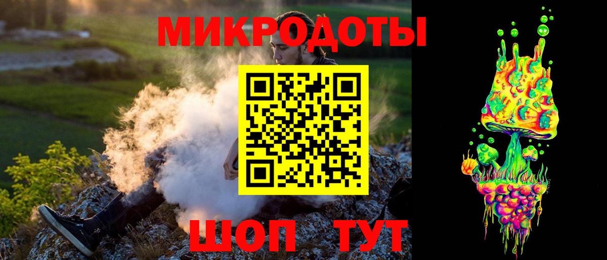 Галлюциногенные грибы Psilocybe Назрань